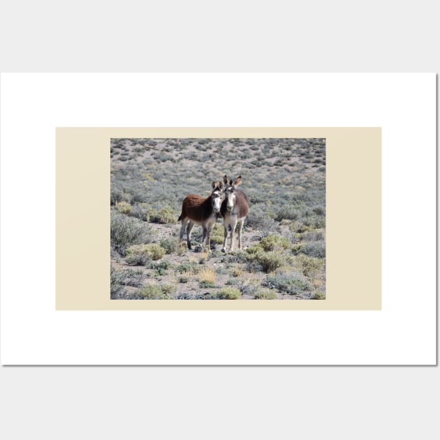 Wild burros, donkeys, wildlife, Mama and Baby Burro Wall Art by sandyo2ly